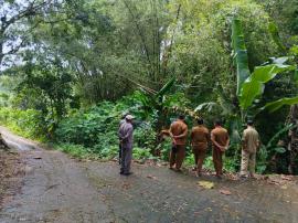 Tinjau Tanah Amblas di Walangan, Lurah Tepus Usahakan Solusi Penanganan ke Depan